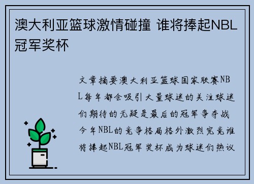 澳大利亚篮球激情碰撞 谁将捧起NBL冠军奖杯